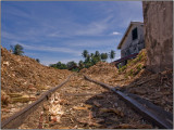 A Trolley is Used to Transport Sugarcane to the Grinder