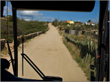 A Cactus Fence Along a Road in Aruba