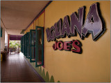 Iguana Joe's in Oranjestad, Aruba