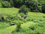 Photographer in the Field