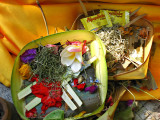 ph_3494.jpg