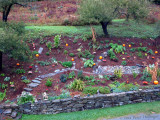Driveway Garden