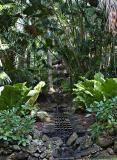 Jungle Fountain