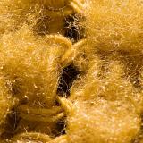 Threads