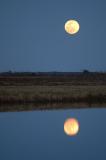 Moon Rise_w.JPG