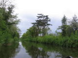 Countryside