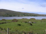Countryside west of Galway
