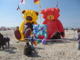 Berck - Plage  :  les cerf-volants  !