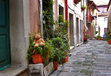 A little street in the historical center near the Se