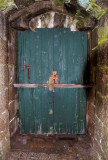 Knock, knock....