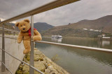 Visiting the Douro Region