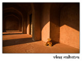Vikas? Vikaaasss! Dont leave me here alone!