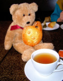 The painters biscuit