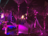 Doha October 2010 059.JPG