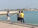 Doha Nov and Dec 2010 006.JPG