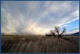 Storm 2