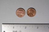 IMG_5324-small.jpg