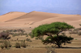 Dunes du wadi Araba