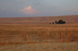 DSC_2396.jpg