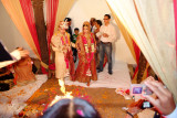 M&D Wedding