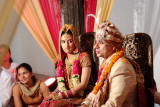M&D Wedding