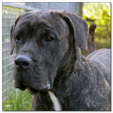 2008-Beau-12076
