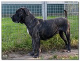 2008-Beau-12076