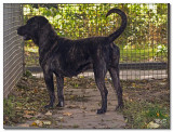 2008-Beau-12076
