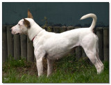 2008_Sonja-4616