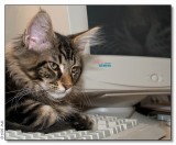 Panter loves Fujitsu - 2008_2012887