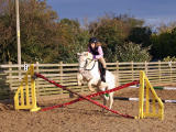 Horse Jumping