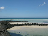 IMG_4279.JPG