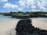 IMG_4268.JPG