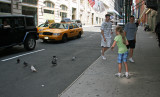 Scooter-bug new friends.jpg