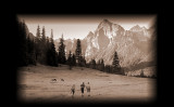bPase Background