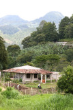 Vivienda Tipica del Lugar