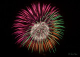 Sea World Fireworks #10