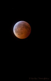 Winter Solstice Eclipse Flip Side