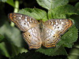 P8281049