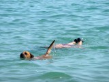 Mon homme et notre chienne Tina se baignent dans la grande bleue -  My man Christian and our dog Tina have a swim in the sea