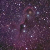 The Elephant Trunk Nebula (VDB142)