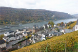 Im Rheintal zwischen Bingen und Loreley 009.jpg