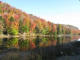 ROADSIDE RIVER