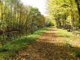 MORE BLACK ROCK CANAL