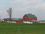 LYNMERE FARMS