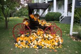 AUTUMN DISPLAY