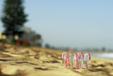 8 Candy Canes ...