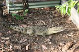 Darwin Bus trip