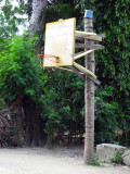 Palm tree hoop
