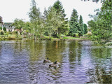 Picture 0199 1024x768.jpg